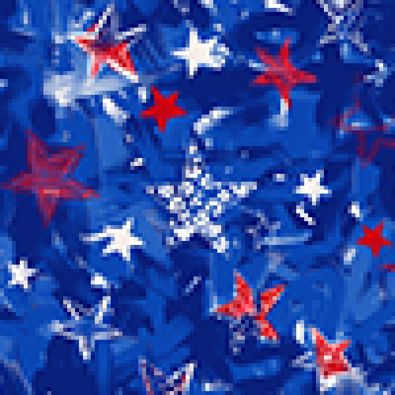 Basics 384PR Leslie Top Star Bursts