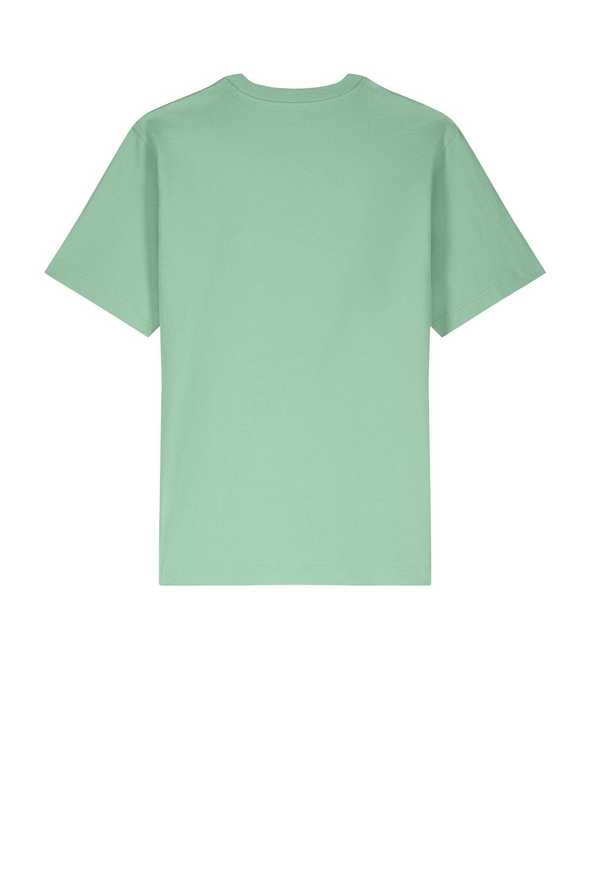 Stanley/Stella Unisex Freestyler Heavyweight Tee SXU018 Misty Jade