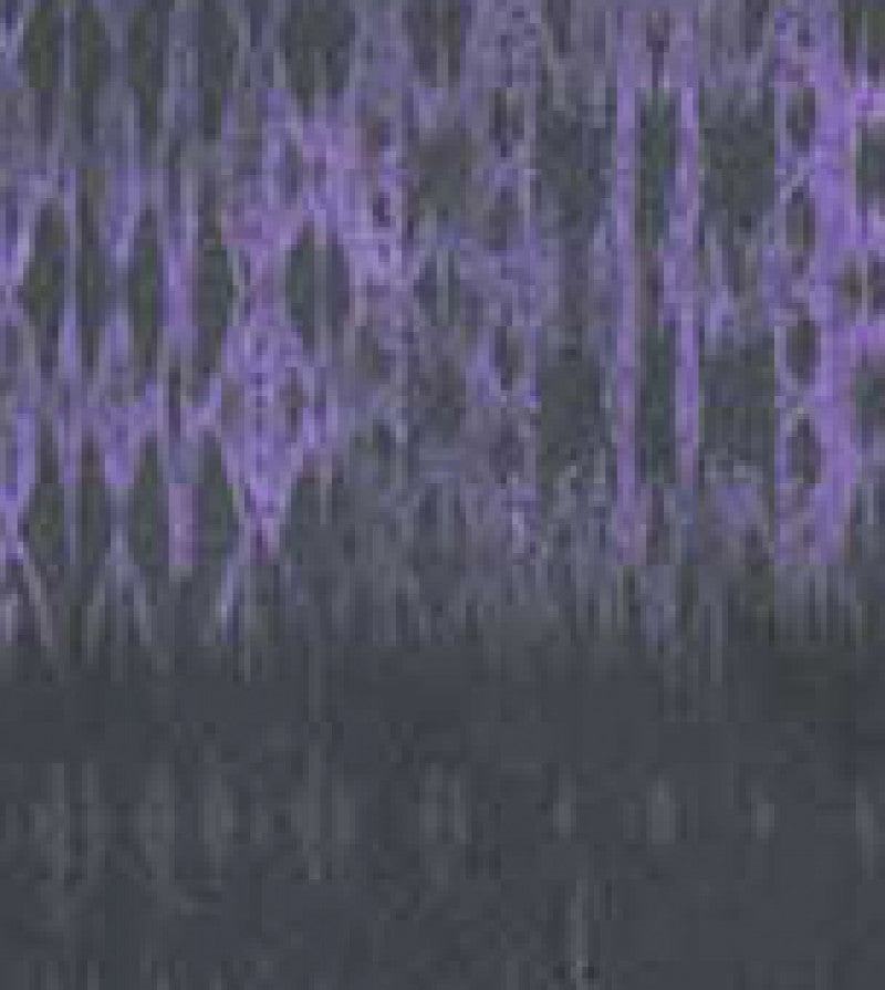 Basics 1031PR Cali Top Tie Dye Charcoal Heather Wisteria