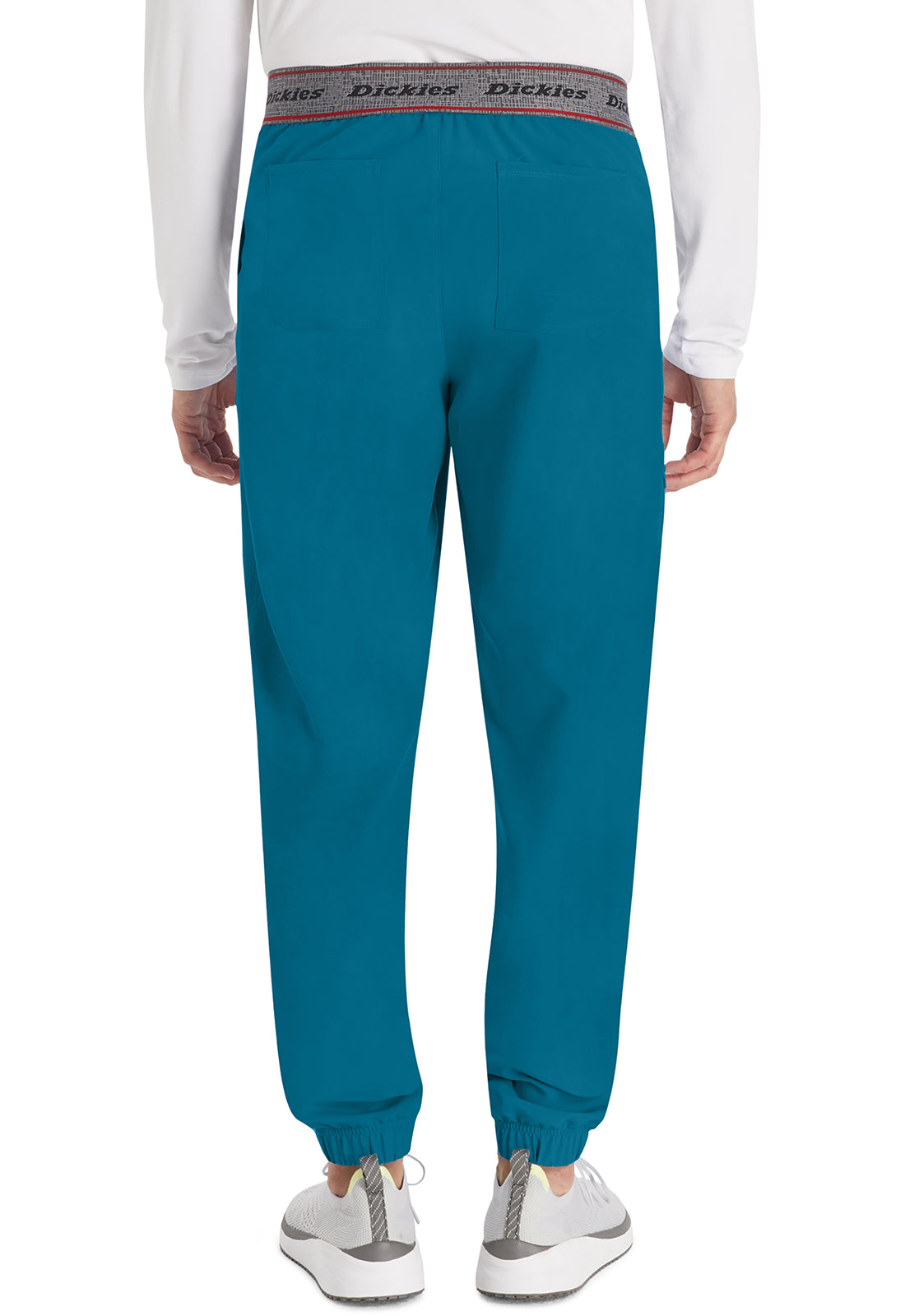 EDS NXT DK217 Men's Mid Rise Jogger Caribbean Blue Model Image Back | Dickies