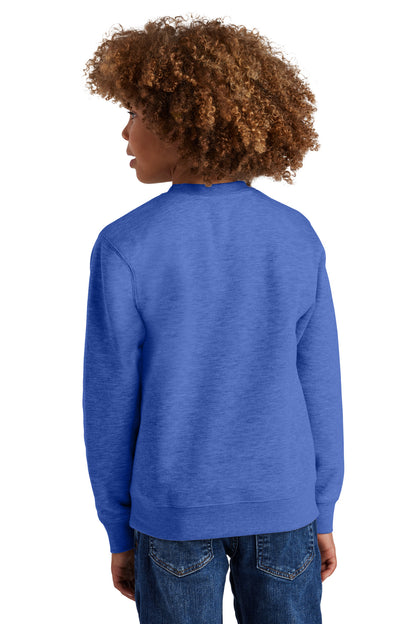 District Youth VIT Fleece Crew DT6104Y Royal Frost