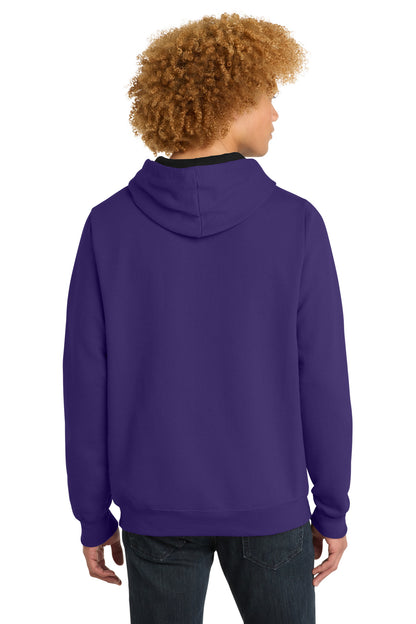 District The Concert Fleece Hoodie DT810 Purple
