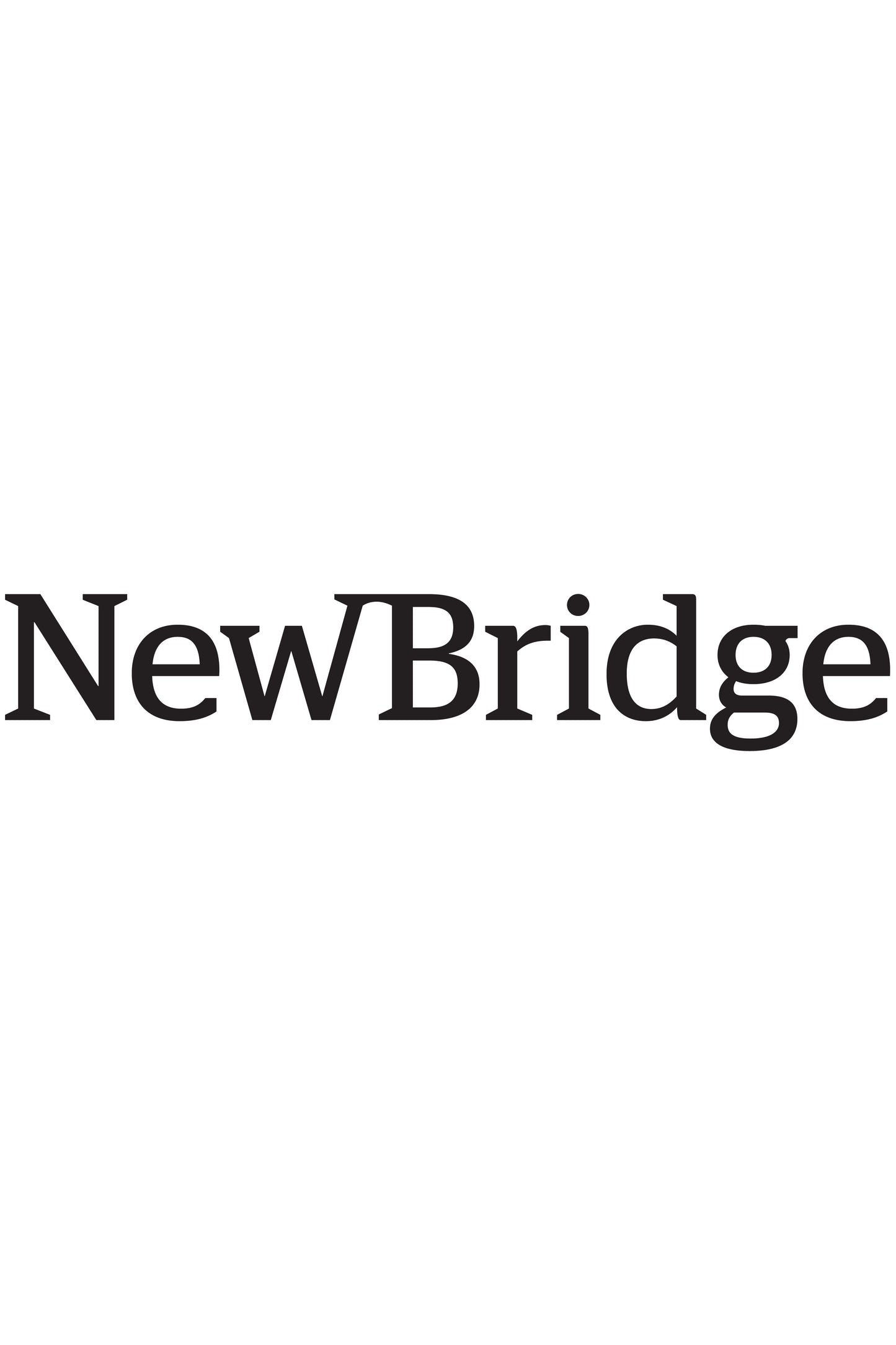 New Bridge Logo