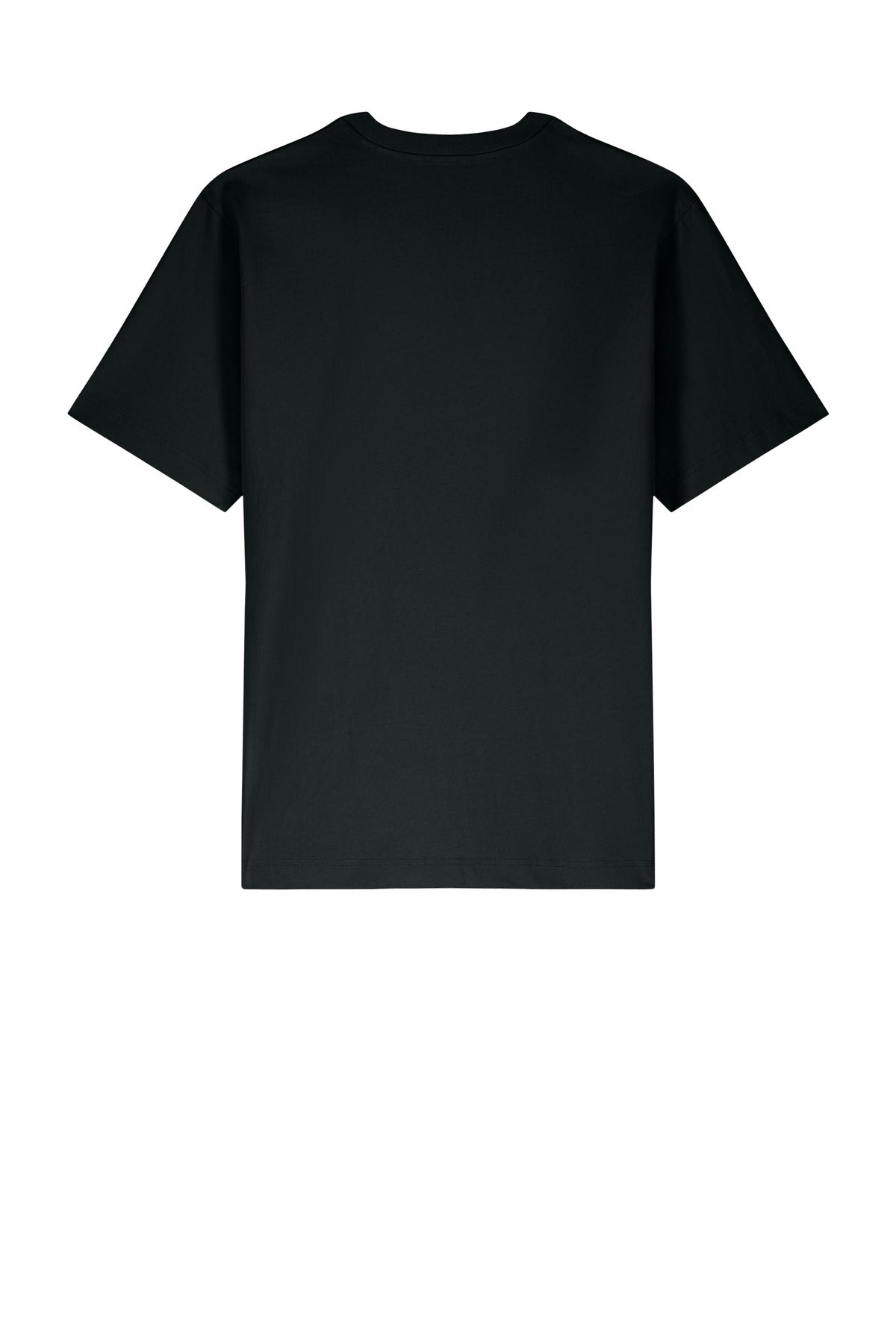 Stanley/Stella Unisex Freestyler Heavyweight Tee SXU018 Black