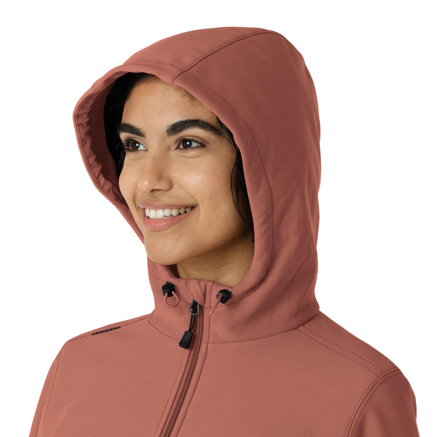 Layers C85023 Bonded Fleece Hoodie Wildrose Model Image Alternate | Carhartt