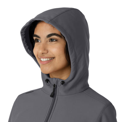 Layers C85023 Bonded Fleece Hoodie Pewter Model Image Alternate | Carhartt